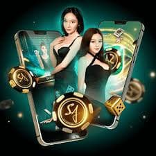 kingbet